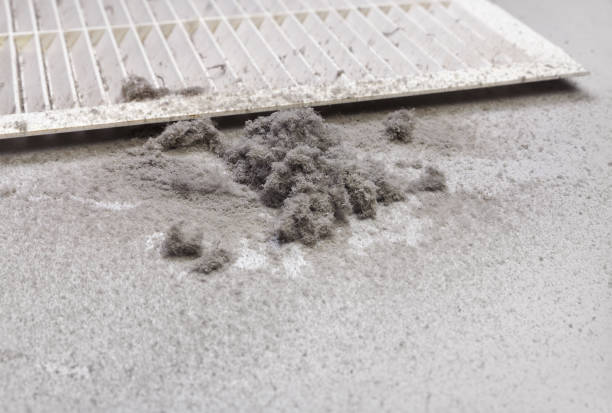 Best Home Air Vent Cleaning  in Montoursville, PA
