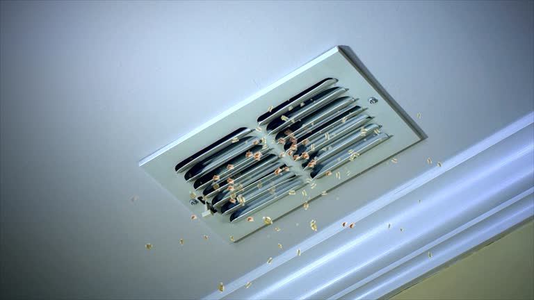Best Affordable Duct Cleaning Services  in Montoursville, PA