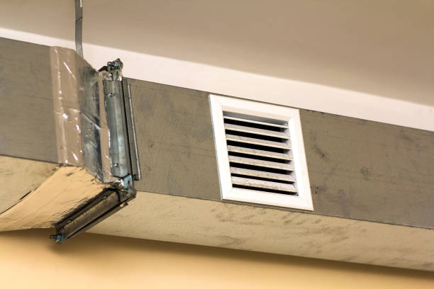 Air Duct Mold Removal in Montoursville, PA